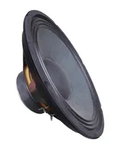 Comprar Parlante Woofer Foxtex 15 Pulgadas 250w Rms 8 Ohms P\u002F Bafle