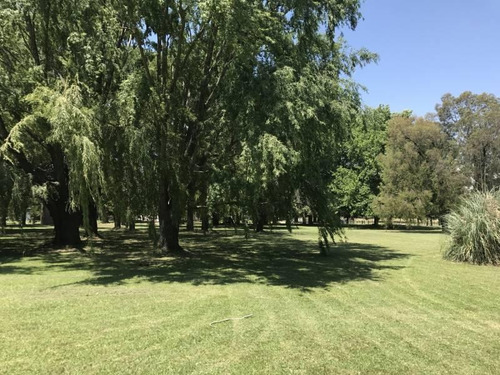 Oportunidad Única Venta De Campo Sobre Ruta Nacional 8 - Duggan, San Antonio De Areco - Mallmann Pro