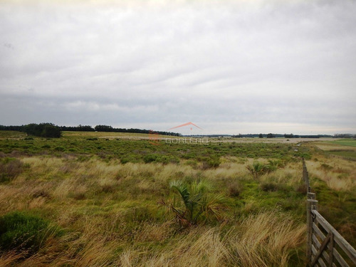 Imagen 2 de 11 de Chacra En Punta Del Este, Ruta 104