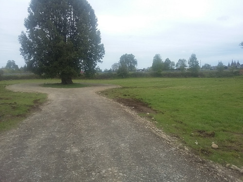 Parcela 5000 M2 Lago Ranco