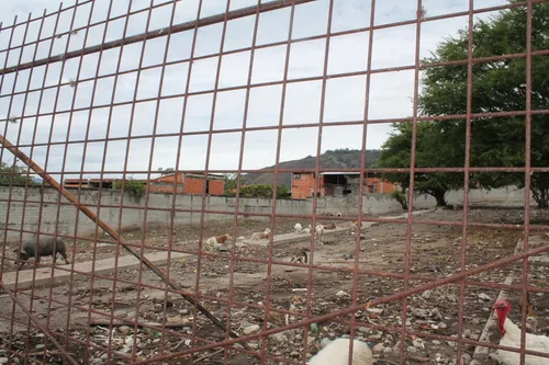 Terreno En Venta. Ejido, Merida.