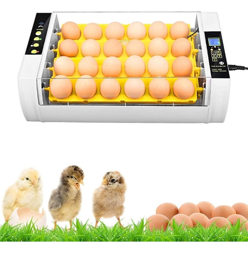 Incubadora De 24 Huevos Totalmente Automática De Temperatura