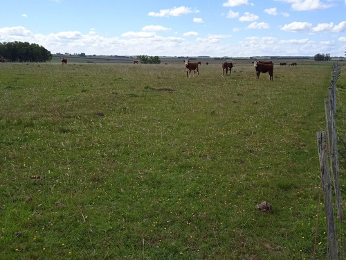 Campo De 140 Hectáreas Con Costa De Arroyo