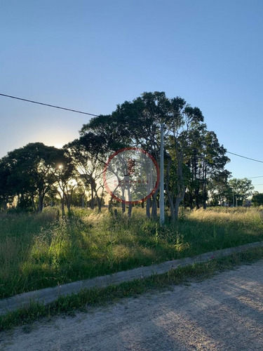 Imagen 5 de 18 de Terreno Lote En Venta Ubicado En Villa Elvira, La Plata