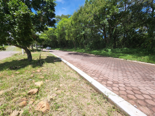Venta De Lote San Diego 53 Mz Xvi Muy Cerca Del Acceso Y Sobre Av Principal Con Bonita Vista En Fracc Rancho San Diego Ixtapan De La Sal Edomex