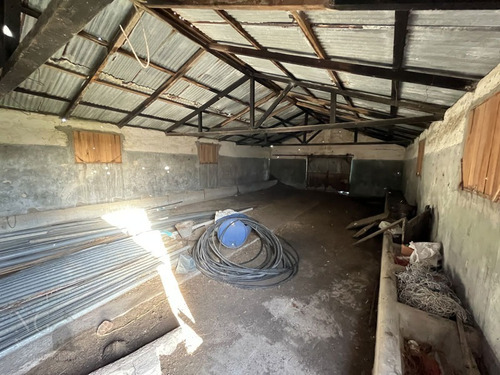 Excelente Campo De 102 Has Ganadero Con Casas Y Galpón