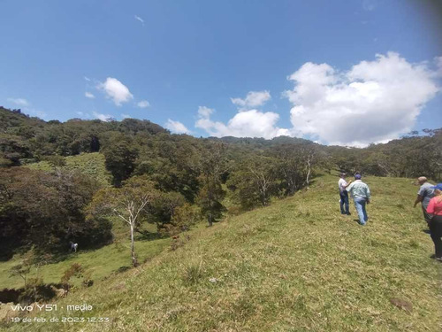 Venta O Permuta  Finca En Jesus Maria Santander De 20 Hectareas