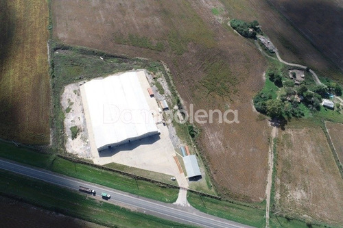 Imagen 4 de 26 de Depósito Galpón En Venta Ubicado En Alvear, Rosario
