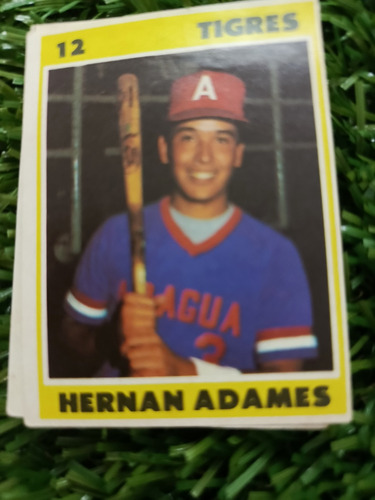 1975 Béisbol Profesional Venezolano Hernán Adames #12