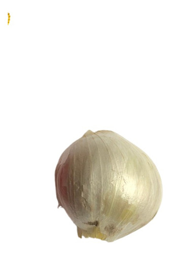 Ajo Macho Miniatura 1 Kilo