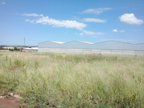 Imagem 6 de 10 de Terreno - Te00241 - 69321133