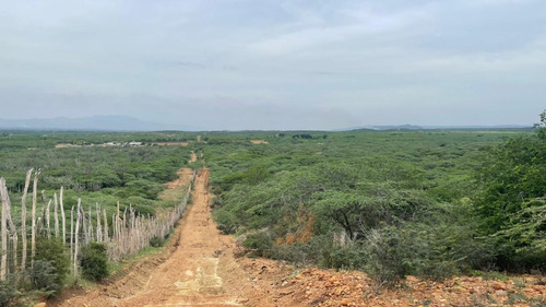 Terreno En Venta Hato Nuevo De Mao