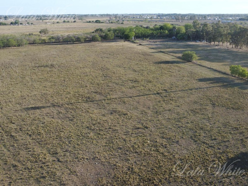 Imagen 3 de 10 de Venta - 7 Hectáreas En Canning