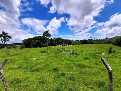 Área Com 55.409 M² No Campeche - Te0934