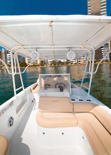 Lancha Deportiva 34