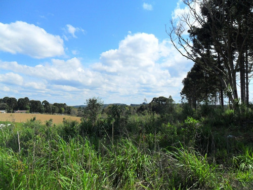 Imagem 2 de 11 de Terreno Lote Para Venda Em Centro Mandirituba-pr - 5702