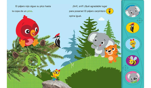 Libro Sigue tu Nariz! Rasca y huele c Sonidos Baby Einstein Editorial Pi Kids Tapa Dura en Español