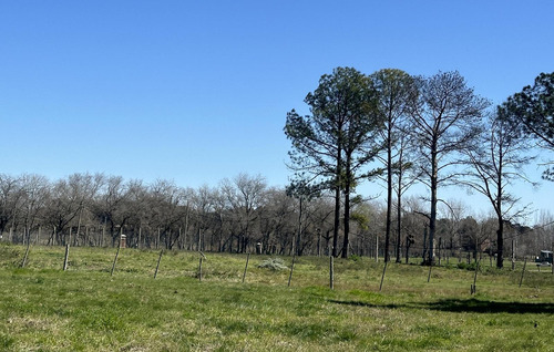 Venta - Lote Interno - Estancia Carabassa | Vco Propiedades