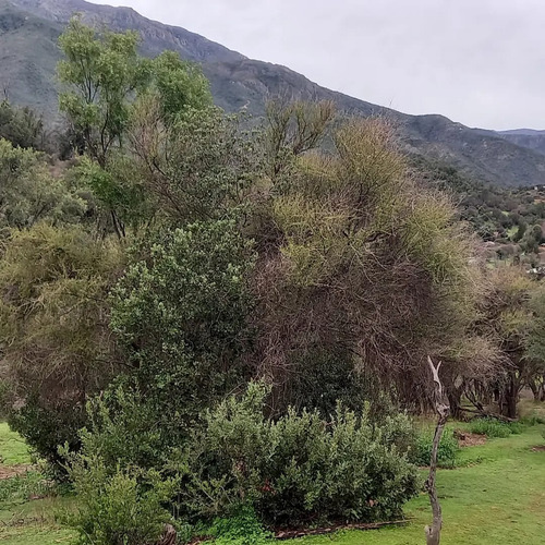 Refugio Sereno En Colliguay Casa Con Tinaja Y Piscina