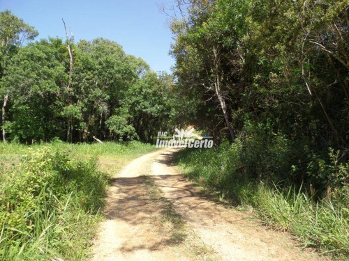 Imagem 10 de 14 de Chácara À Venda, 4000 M² Por R$ 75.000,00 - Rodeio Da Chapada - Balsa Nova/pr - Ch0011