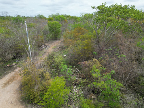 Terreno En Esquina En Venta Cholul