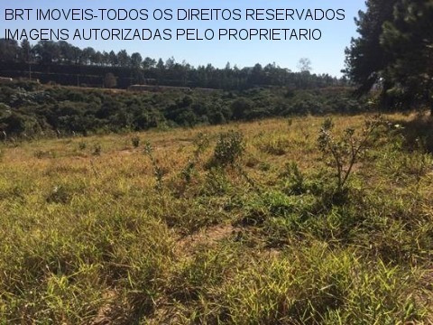 Imagem 7 de 12 de Terreno - Te00103 - 32800263