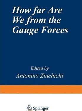 Libro How Far Are We From The Gauge Forces - Antonio L. Z...