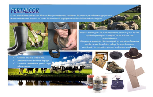 Intermedia Para Casco Equino