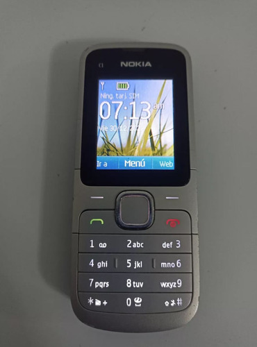 Telefono Celular Nokia C1-01