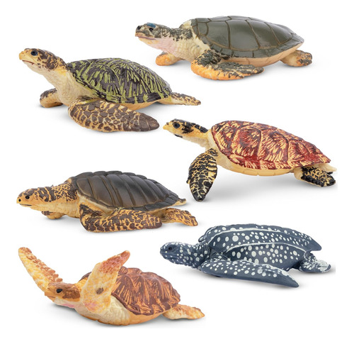 Toymany 6pcs Figuras Realistas De Tortuga Marina, Figuras De