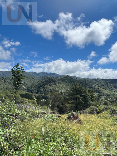 Terreno En El Siambon