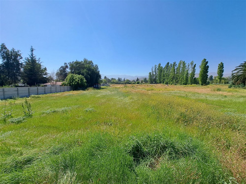 Parcela En Arriendo En Colina