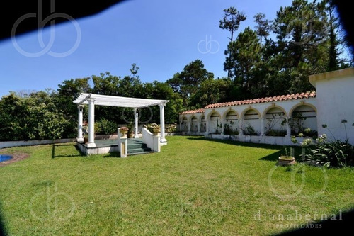 Punta Del Este, Pinares, 3 Dormitorios Y Dependencias.- Ref: 1769