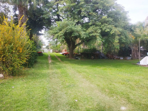 Imagen 8 de 24 de Se Vende 1ha. Con 3 Casas Sobre Ruta 11 Km 450