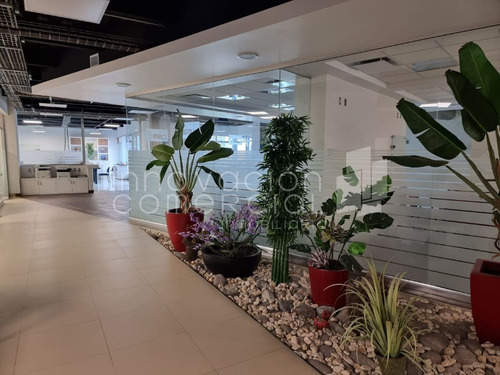 Edificio De Oficinas En Venta En Lomas De Querétaro, Con Recepción Y Sala De Jun