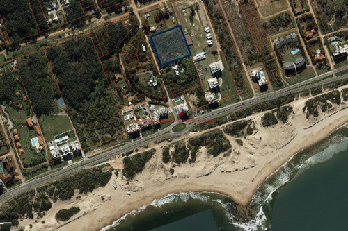 Imagen 3 de 3 de Lote 10.000m2 Playa Brava Apto Para Edificio - Punta Del Este Rincón Del Indio
