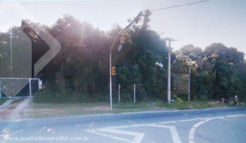 Imagem 1 de 4 de Terreno - Belem Velho - Ref: 38875 - V-38875