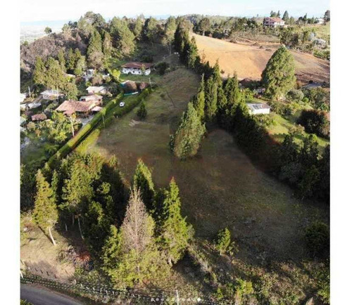 Imagen 6 de 18 de Se Vende Finca En Guarne Antioquia