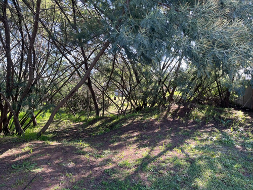 Se Vende Parcela-terreno, Bellini, Villa Italia, Coronel