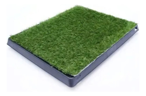 Baño Alfombra Bandeja Perro Mascota