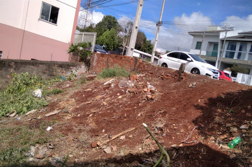 Imagem 4 de 4 de Terreno - Comercial/residencial - 932107