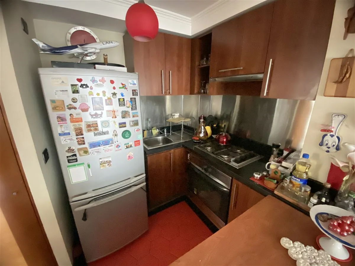Imagen 4 de 15 de Departamento En Venta En Providencia