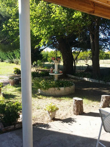 Imagen 9 de 14 de Quinta De 5 Ambientes Y 1 Baño Bahia Blanca