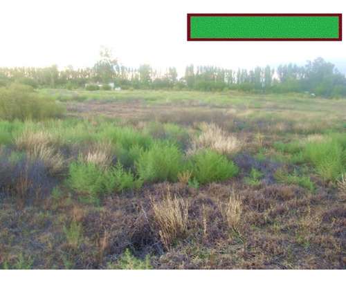 Imagen 10 de 11 de Finca 6,6ha Turistica Y Productiva Con Casa Sobre Ruta Nacional 188 Camino A Las Leñas Dueño Vende Permuta Chacra Buena Tierra Con Riego