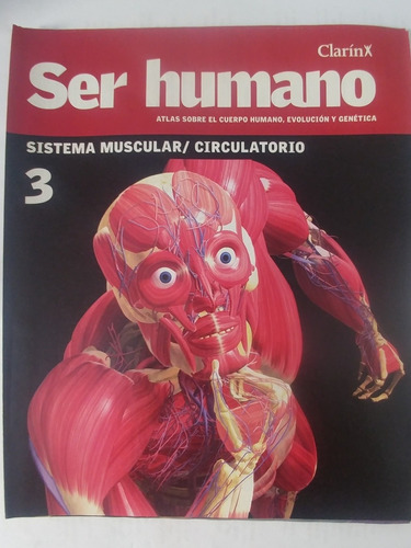 Clarin Ser Humano 3 Sistema Muscular Circulatorio (61)