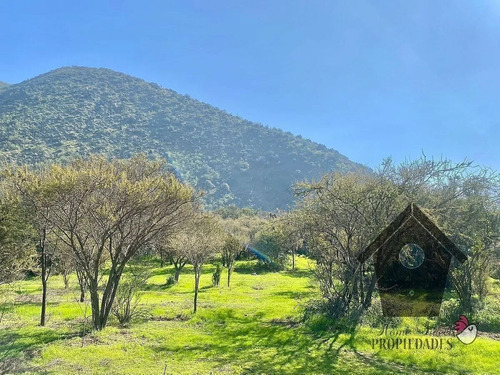 Lo Castro, Quebrada De Alvarado, Olmue. 5.000m2