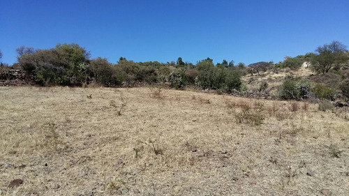 Rancho En Venta En Jerecuaro Guanajuato