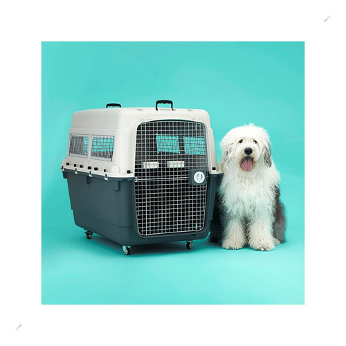 Caixa De Transporte C-pet Xg
