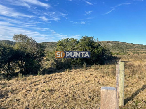 Imagen 3 de 5 de Campo En Venta, Las Cañas, Maldonado