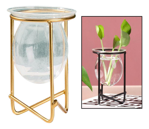 2 Jarrones De Cristal Para Plantas Hidropónicas, Marco De